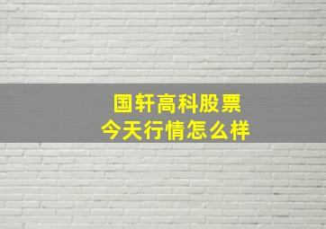 国轩高科股票今天行情怎么样