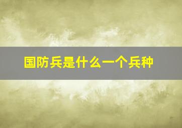 国防兵是什么一个兵种