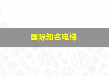 国际知名电梯