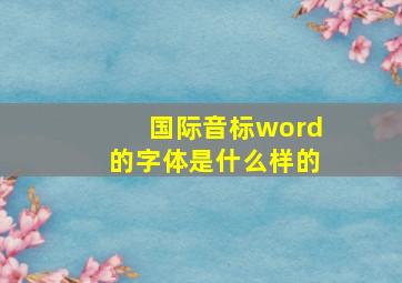 国际音标word的字体是什么样的