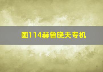 图114赫鲁晓夫专机