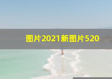 图片2021新图片520