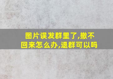 图片误发群里了,撤不回来怎么办,退群可以吗