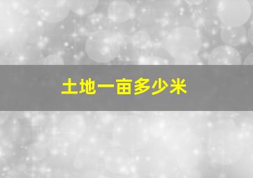 土地一亩多少米