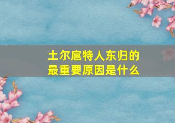 土尔扈特人东归的最重要原因是什么