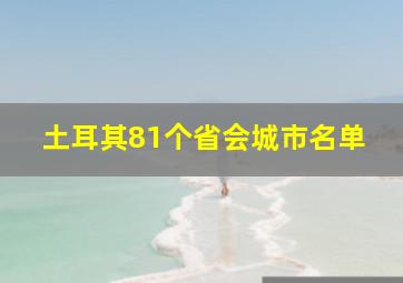 土耳其81个省会城市名单