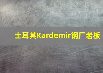 土耳其Kardemir钢厂老板