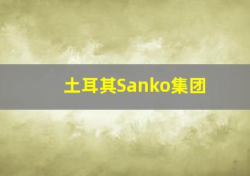 土耳其Sanko集团