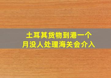 土耳其货物到港一个月没人处理海关会介入