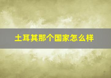 土耳其那个国家怎么样