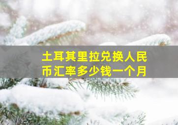 土耳其里拉兑换人民币汇率多少钱一个月