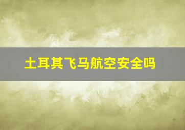 土耳其飞马航空安全吗