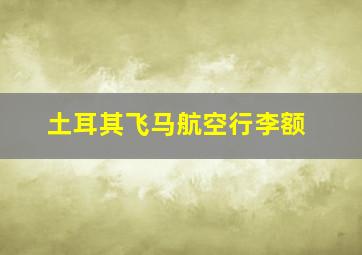 土耳其飞马航空行李额