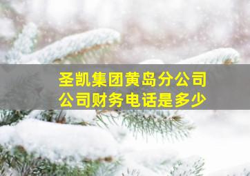 圣凯集团黄岛分公司公司财务电话是多少