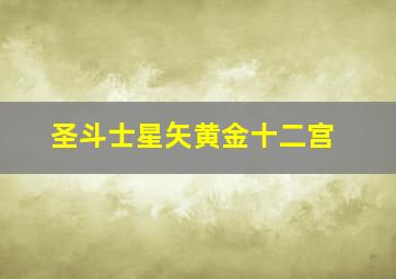 圣斗士星矢黄金十二宫