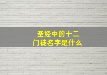 圣经中的十二门徒名字是什么