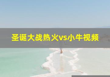 圣诞大战热火vs小牛视频