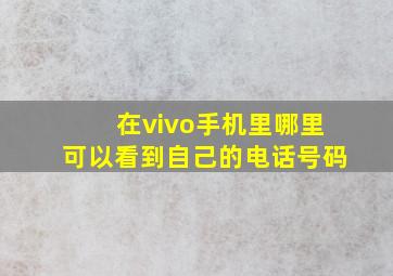 在vivo手机里哪里可以看到自己的电话号码