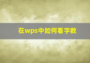 在wps中如何看字数