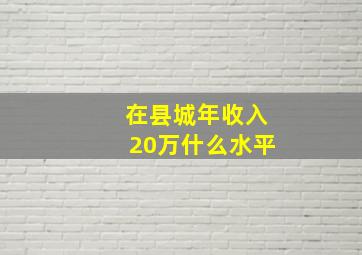 在县城年收入20万什么水平