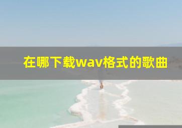 在哪下载wav格式的歌曲