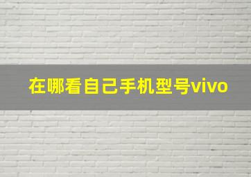 在哪看自己手机型号vivo