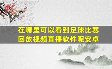 在哪里可以看到足球比赛回放视频直播软件呢安卓