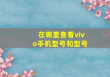 在哪里查看vivo手机型号和型号