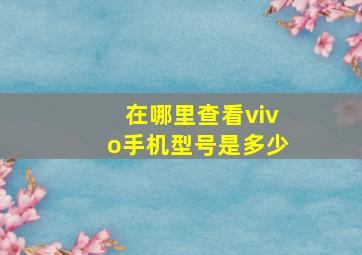 在哪里查看vivo手机型号是多少