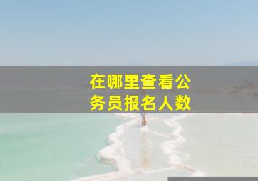 在哪里查看公务员报名人数