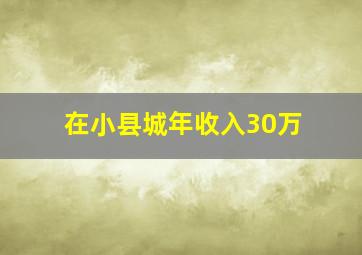 在小县城年收入30万