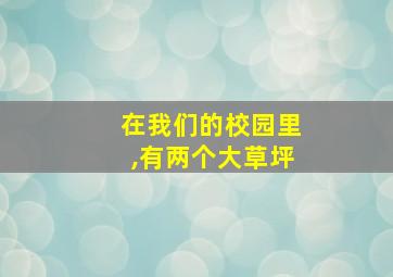 在我们的校园里,有两个大草坪