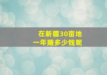 在新疆30亩地一年赚多少钱呢