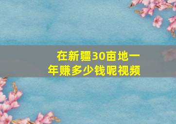 在新疆30亩地一年赚多少钱呢视频