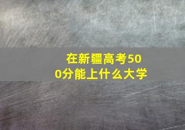 在新疆高考500分能上什么大学