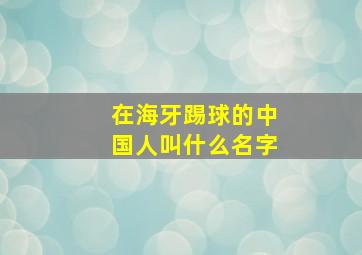 在海牙踢球的中国人叫什么名字