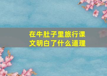 在牛肚子里旅行课文明白了什么道理