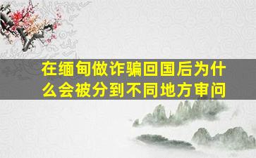 在缅甸做诈骗回国后为什么会被分到不同地方审问