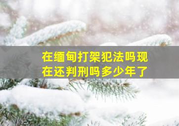 在缅甸打架犯法吗现在还判刑吗多少年了