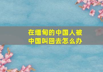 在缅甸的中国人被中国叫回去怎么办