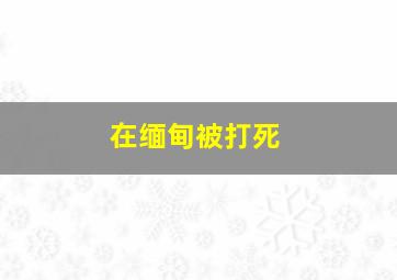 在缅甸被打死