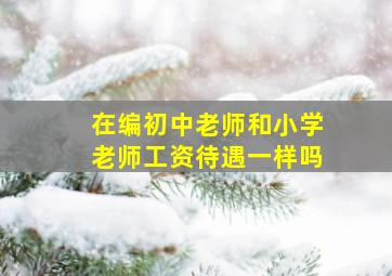 在编初中老师和小学老师工资待遇一样吗