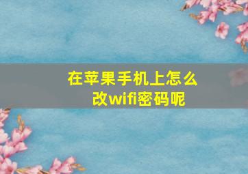 在苹果手机上怎么改wifi密码呢