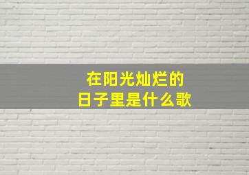 在阳光灿烂的日子里是什么歌