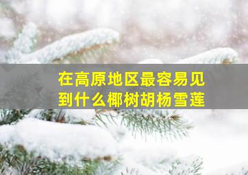 在高原地区最容易见到什么椰树胡杨雪莲