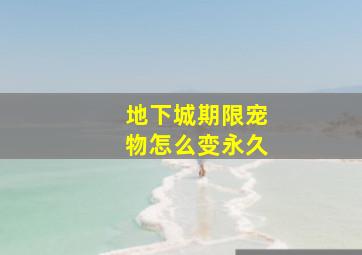 地下城期限宠物怎么变永久