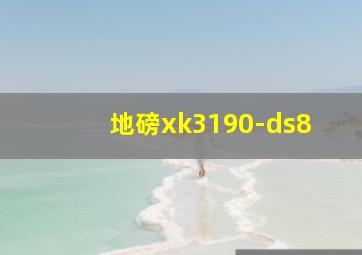 地磅xk3190-ds8