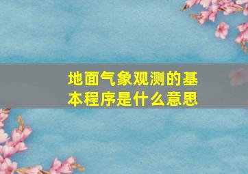 地面气象观测的基本程序是什么意思