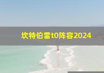 坎特伯雷t0阵容2024