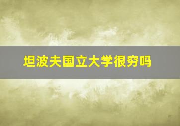 坦波夫国立大学很穷吗